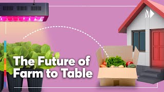 Nebullam: The Indoor Farm Using Tech to Replace the Produce Aisle