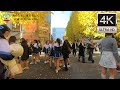 慶應義塾大学三田祭2025を散歩 walk Keio University's Mita Campus and is the largest school festival