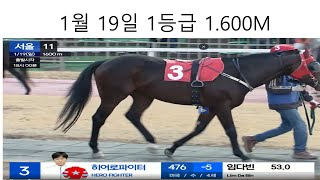 경마예상/ 경마초보/경마초보가이드/경마초보탈출/ 경마 / 경마 복기/ 경마 살펴보기/1월19일 1등급 1,600
