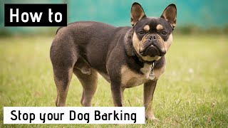 How to Stop your Dog Barking by Jo Cottrell - Dog Trouble 1,615 views 3 years ago 6 minutes, 32 seconds