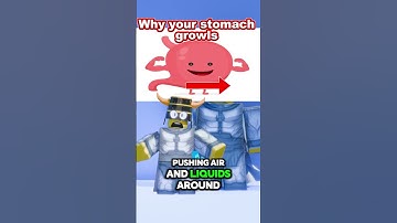 Why your stomach growls when you