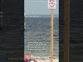 'Brain-eating' amoebas and other Florida risks