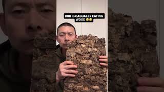 Bro Is Casually Eating Wood