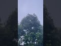 mi orulo ela undhi weather coment cheyyandi frinds #music #rain #automobile #weather #cool #trend