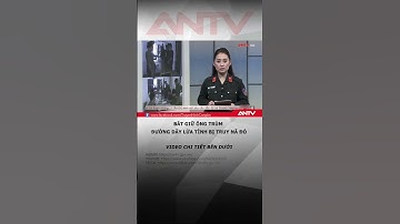 Ông trùm đường dây lừa tình, buôn người bị truy nã đỏ, sa lưới tại Khánh Hòa  #shorts #buonnguoi