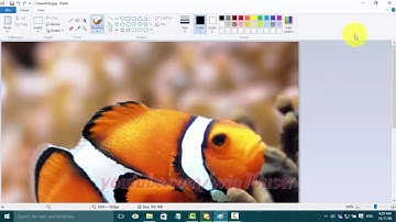 Windows 10 : How To Switch between open application with shorcut keys