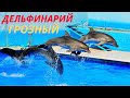 Дельфинарий в Грозном! Dolphinarium in Grozny!