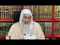 حكم تربيـة القطط الشيخ مصطفى العدوي
