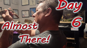 🩸6th Handling Session With Terrified Sri Lankan Python Leads To Chin Scratches.