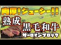 肉厚!!!ジューシー!!!90日熟成・黒毛和牛・経産牛/サーロインブロック 【秋田 大門商店さん】【全国/通販/お取り寄せ】