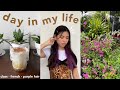 day in my life | online class, french & purple hair!