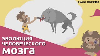 Эволюция человеческого мозга