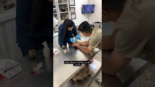 أنقاذ خطير😭