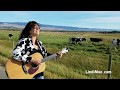 Lindimoo herds cows with moosic music part 2