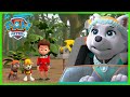 Zuma saves Rocky in a runaway box fort and more! - PAW Patrol - Cartoons for Kids Compilation