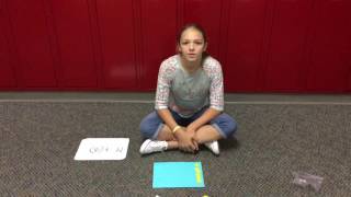 Integer Chips by Emma - 5th Period - 2016 Wealth