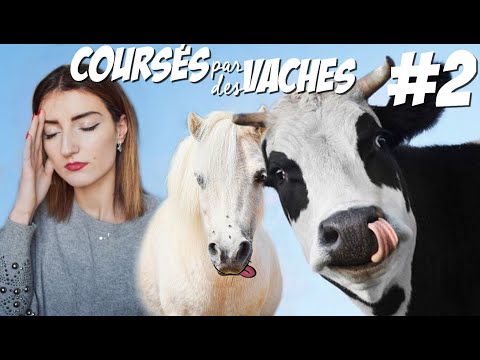 Vidéo: Bone: Acte 2 - La Grande Course Des Vaches