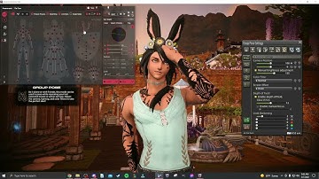 Anamnesis Walkthrough!