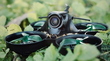 I got the NewBeeDrone AcroBee65 BLV4 TBS Tiny Whoop / The Ultimate BNF Whoop