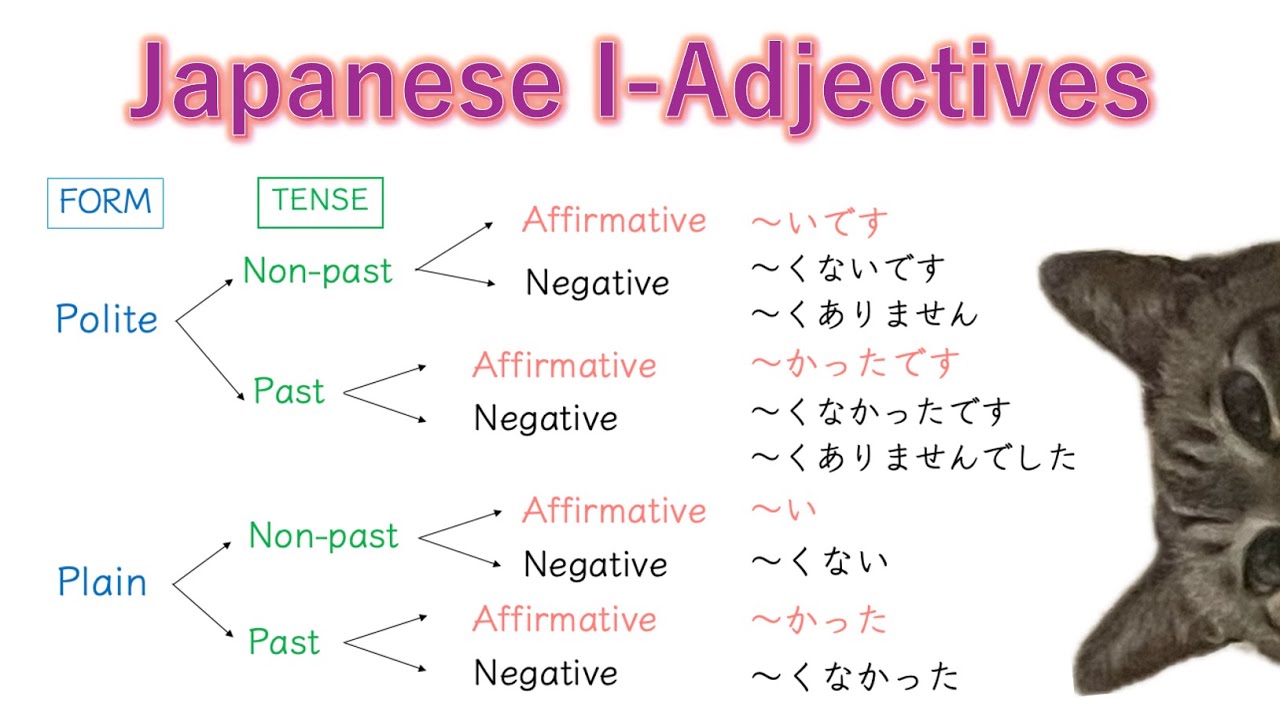 How to Conjugate Japanese い-Adjectives ~ Learn Japanese with Toby ~ い形容 ...