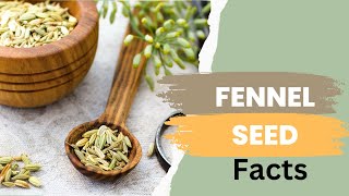 Fennel Seed Facts