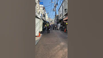 Tokyo Walk Yanaka Ginza 