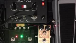 Sunface Nkt275 Classic Amplification Vibe-Baby Cv-2 Vs Mini-Vibe - Effect Check