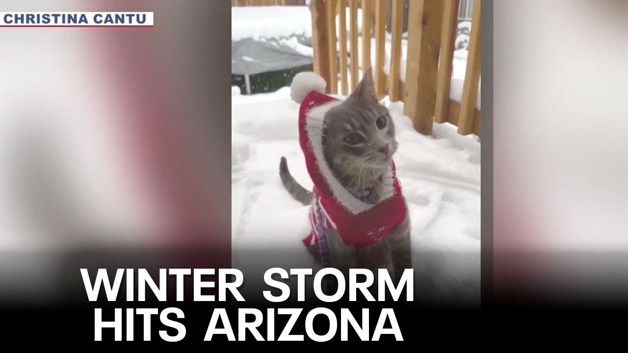 Winter storm brings heavy snowfall to northern Arizona - YouTube