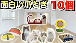 猫が喜ぶ最新オススメ爪とぎ10個買って遊ばせてみた！！