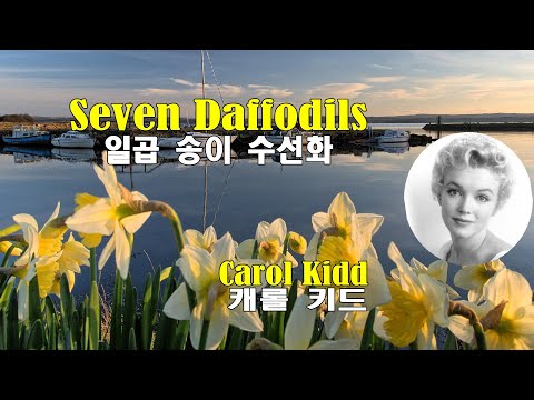 Seven Daffodils Carol Kidd 일곱 송이 수선화 캐롤키드 2000 Lyrics가사 해석