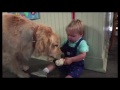 Fuller house the boy next door (baby)