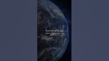 Surah An-Nisa 080-081 سورة النساء      #quraniv #quran