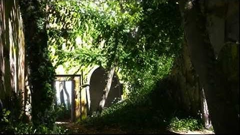 2011 Environment / Technical Demo reel - Lucas Morgan