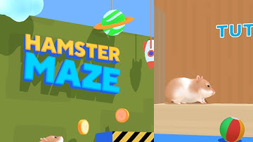 Hamster Maze Game Level 21-30