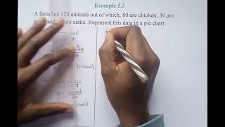 GRADE 7: DRAWING A PIE CHART