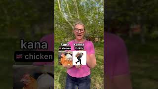 Common word mix ups in Finnish 😅🇫🇮 #finnishteacher #learnfinnish