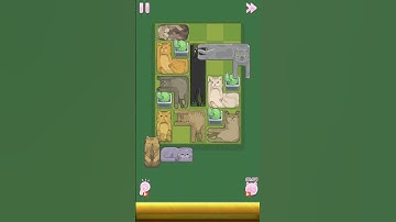 Perfect tidy-Gameplay Walkthrough level 30 || Arrangement Of Cats