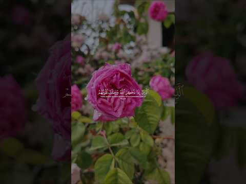 لا اله الا الله وحده لا شريك له له الملك وله الحمد وهو على كل شي قدير ❤️