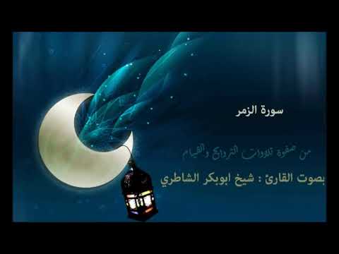 سورة الزمر بصوت القارئ شيخ أبو بكر الشاطري