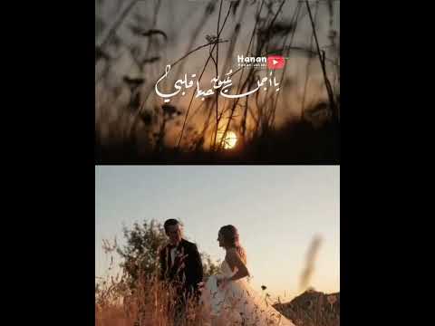 بحبك ياغالي هاني شاكر