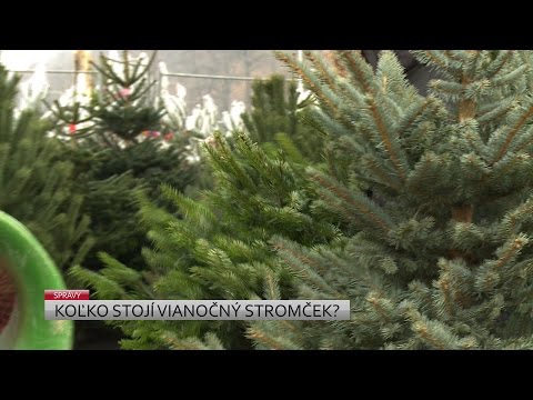 Video: Koľko stojí stromček?