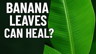 Download Lagu Daun Pisang Bisa Menyembuhkan? Kebijaksanaan Kuno Terungkap! MP3 Download Lagu Daun Pisang Bisa Menyembuhkan? Kebijaksanaan Kuno Terungkap! MP3