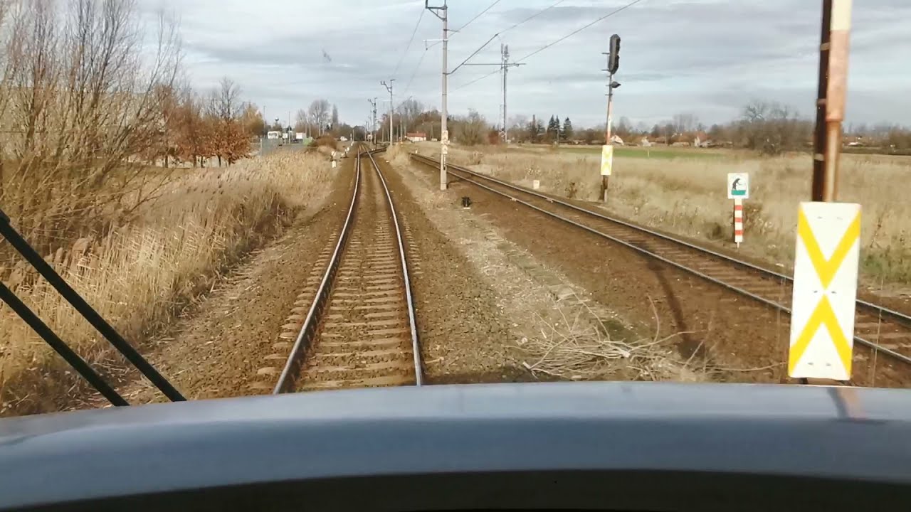 Uzsgyival Erdőszél - Kiskunhalas + érdekességek