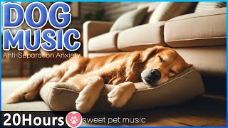 20 HOURS of Dog Calming Music For Dogs🎵Anti Separation Anxiety Relief Music💖🐶Best Dog Sleep Music