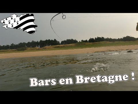 Pêche du BAR aux leurres de la plage en Bretagne !