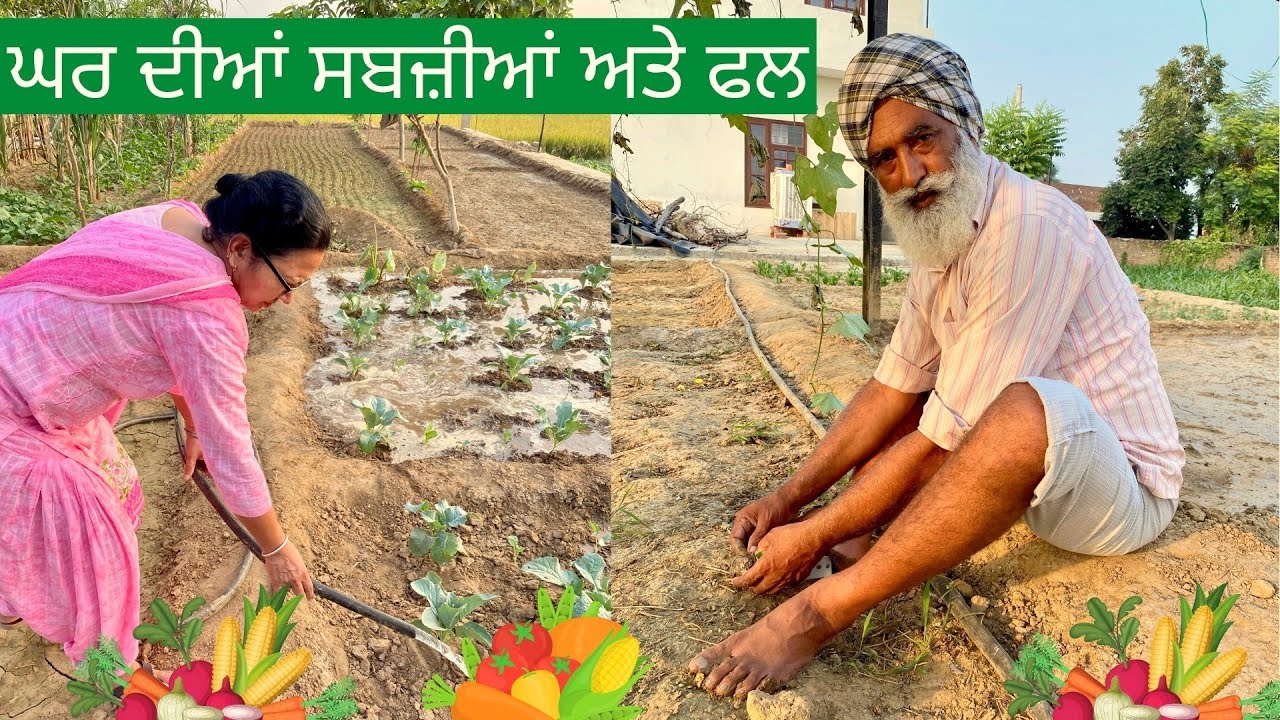 Mom Dad Working in House Garden | Mehak Nu Akal Jaad Ne Kita Dukhi