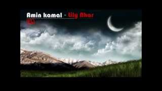 Miniatura de "Amin kamal - Lily Nhar"