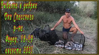 Рыбалка на Оке в дебрях Спасского района.  Фидер.  18 19 августа 2021 года.