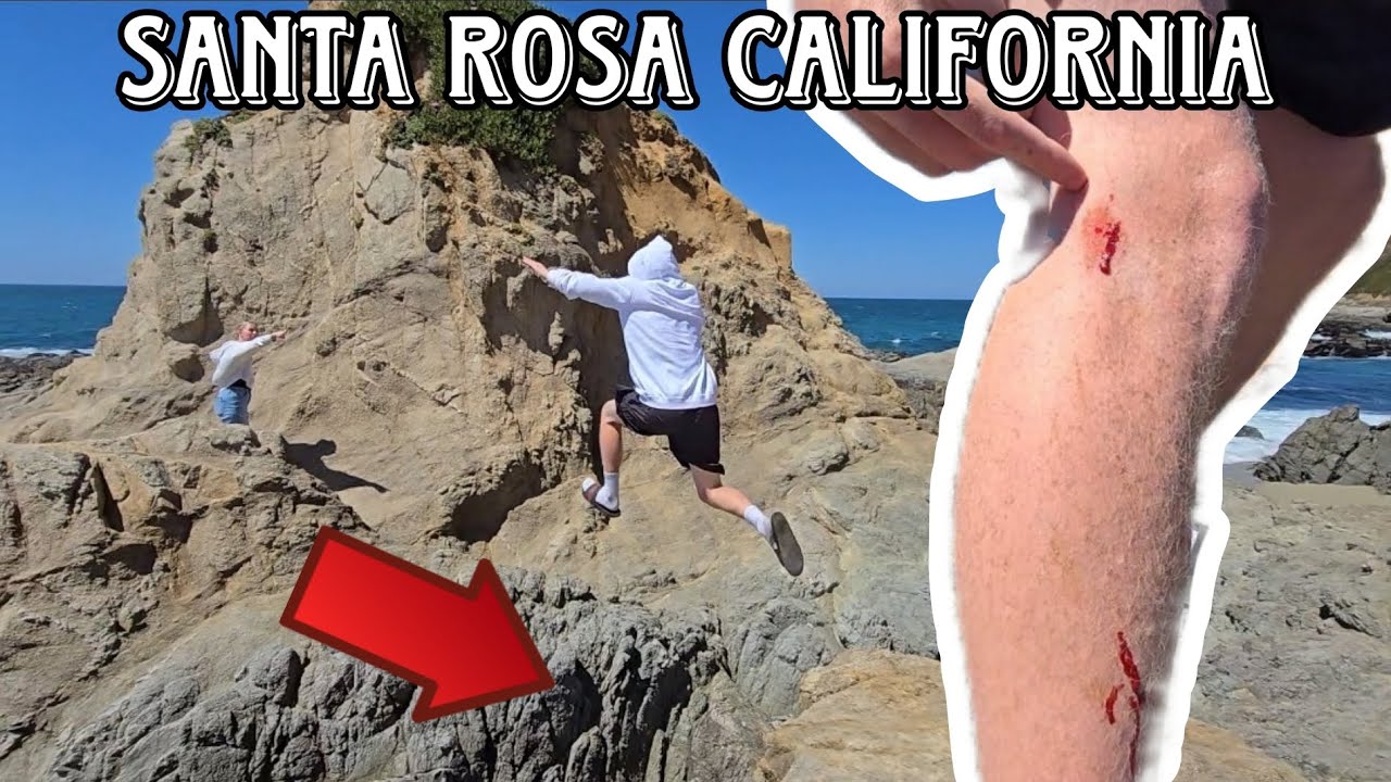 Armstrong redwoods and Bodega Bay Airbnb day 1 YouTube