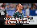 Chicharito Le Dio El Si A Amaury Vergara Para Regresar A Chivas El Proximo Torneo image